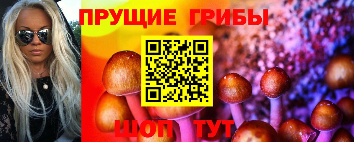 Троицк  Псилоцибиновые грибы мицелий  Вход с VPN 